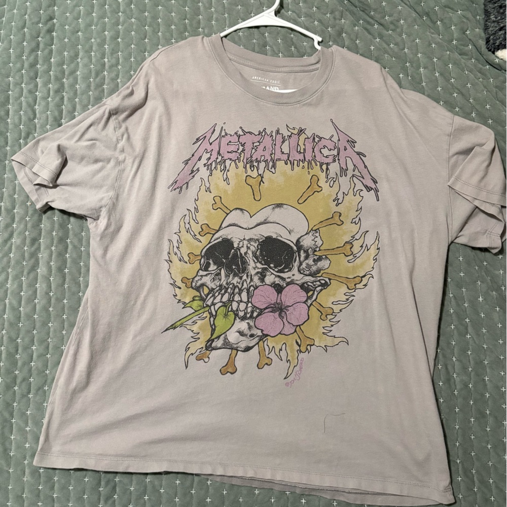 American Eagle Outfitters Gray Graphic Band Tee
